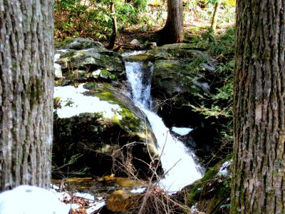 Savannah Falls Framed

