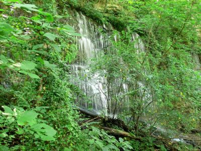 Odd
Rock Island should probably be listed under odd stuff.

When a dam was built on a "U" turn in the river and the water backed up, due to limestone between the curves that form the "U" water started to seep through to emerge in the wall of the now lower river. 

The following photos are the results. Note the water comes out of the cliff.

Near Cookeville, TN and numerous other falls. 
