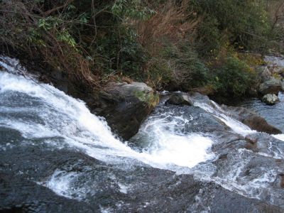 Seal Face
Can you pick out the Seal Face on Spivey Falls?
