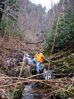 Tired Old Bird
Old Albatross shall we say, observing Lou????????
