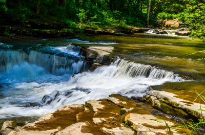 Upper Dunlop Creek Falls *
Small falls where BJ and I stopped for a picnic. 
