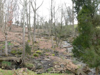 Orebank Falls West
The reason for the West falls is that a culvert separates East and West parts of the falls.

These falls border  on an oldalbatross award for trash
