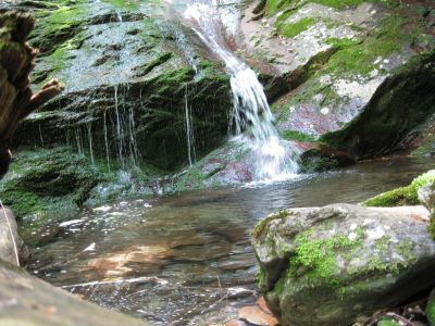 Whetstone Branch Falls
This falls may be further East than any other falls in Tennessee.

The easiest way to reach it is through Taylor Valley Va.
